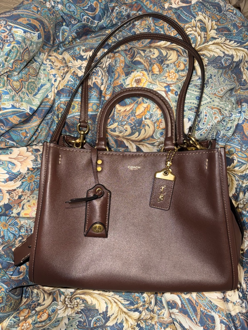 Authentic Coach Rogue 31